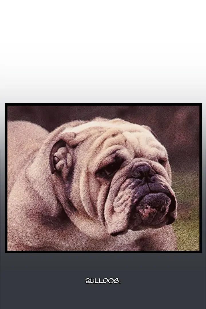 From Weakling to Nemesis Chapter 7 - Page 1